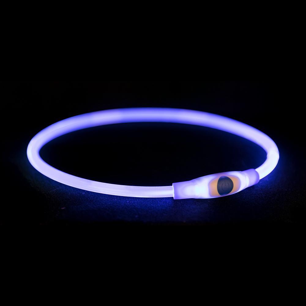 Safety Ring | USB Flash Light Ring For Dogs -  - Browns Pet Range