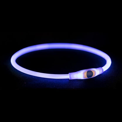 Safety Ring | USB Flash Light Ring For Dogs -  - Browns Pet Range