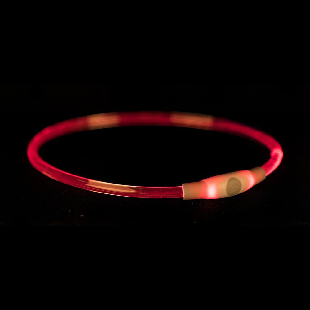 Safety Ring | USB Flash Light Ring For Dogs -  - Browns Pet Range