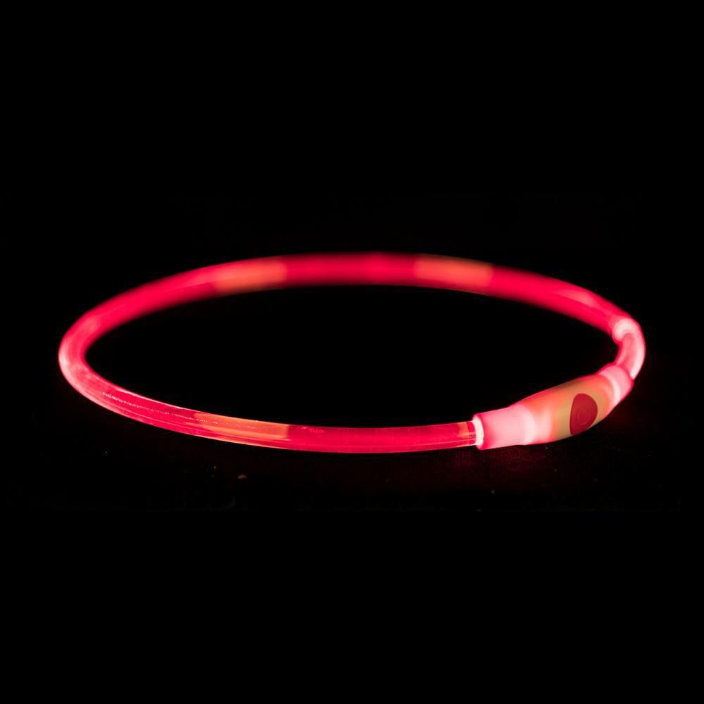 Safety Ring | USB Flash Light Ring For Dogs -  - Browns Pet Range