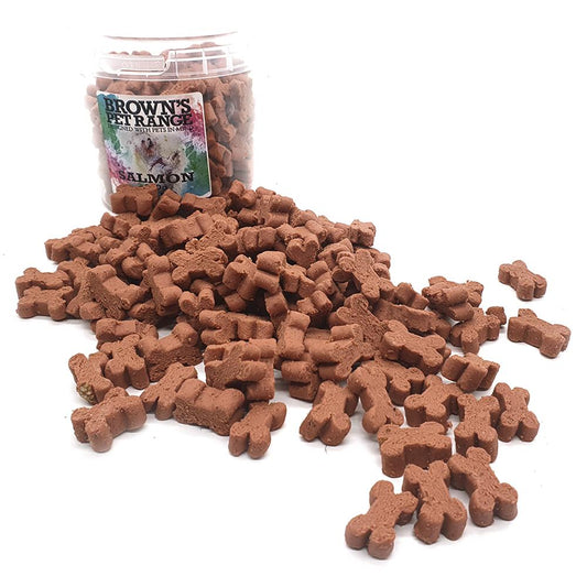 Salmon Training Treats 200g - BROWNS PET RANGE