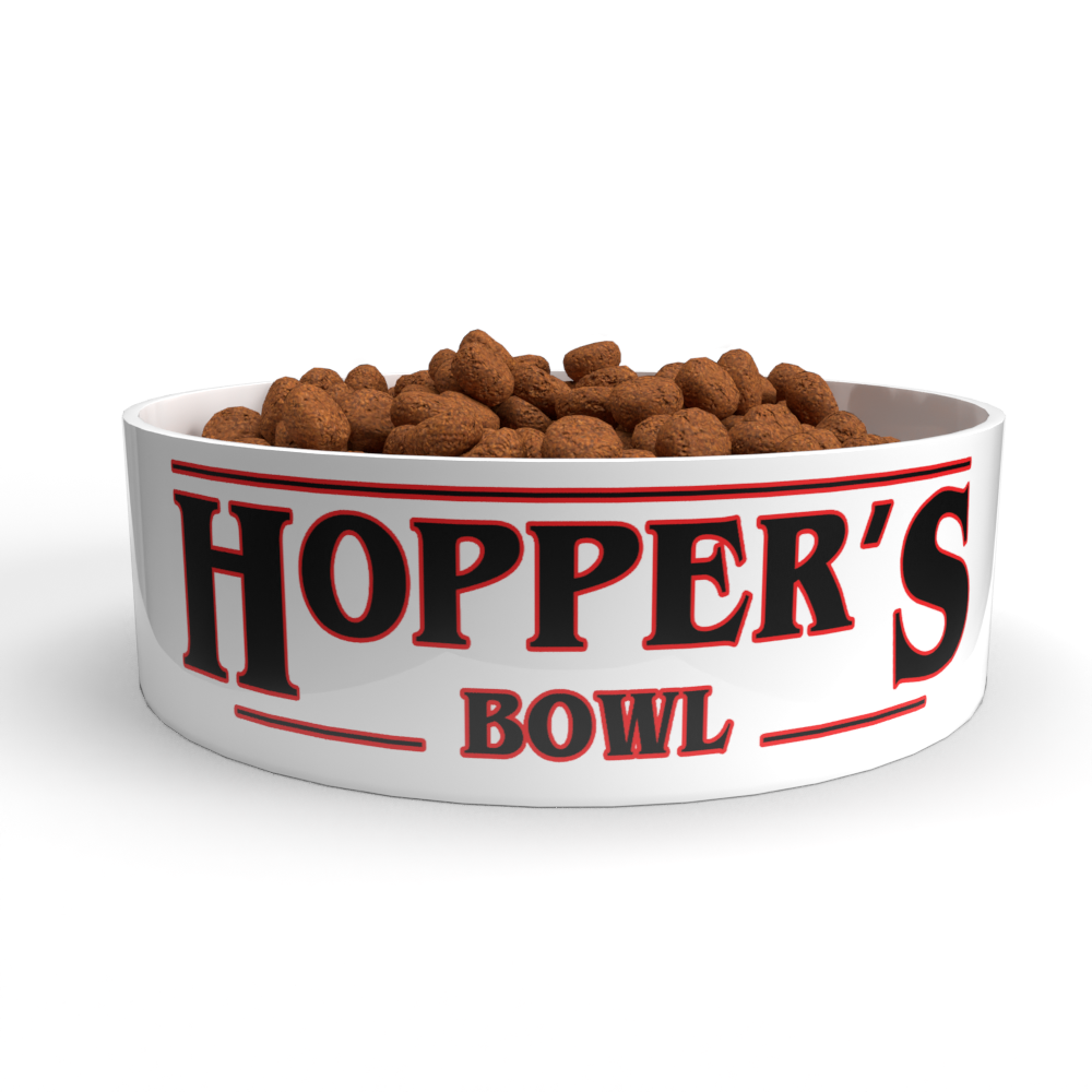 Stranger Things Personalised Named Dog Bowl - BROWNS PET RANGE