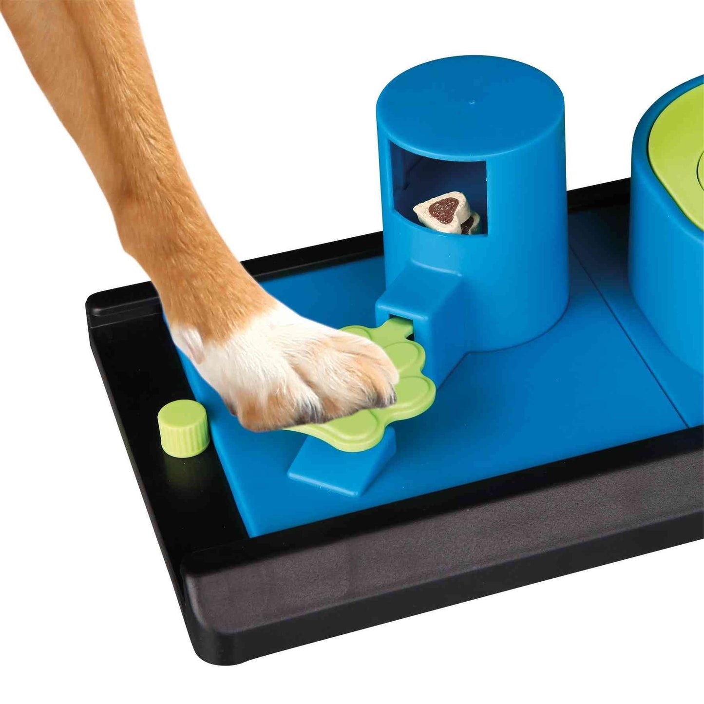 Strategy Game Poker Vario | Level 2 - Dog Toys - Browns Pet Range