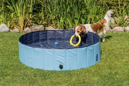 Swimming Pool For Dogs -  - Browns Pet Range