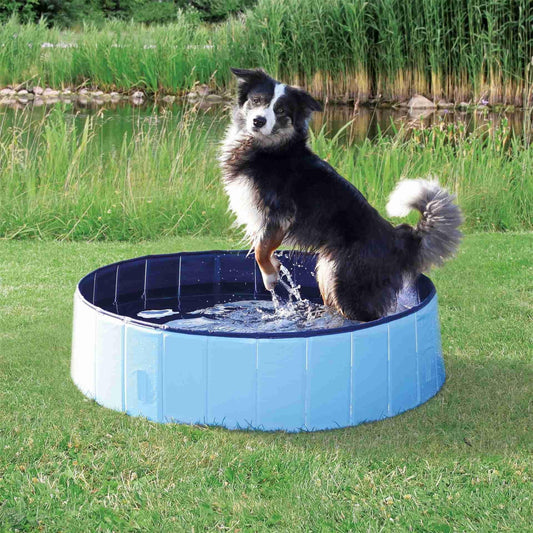 Swimming Pool For Dogs -  - Browns Pet Range