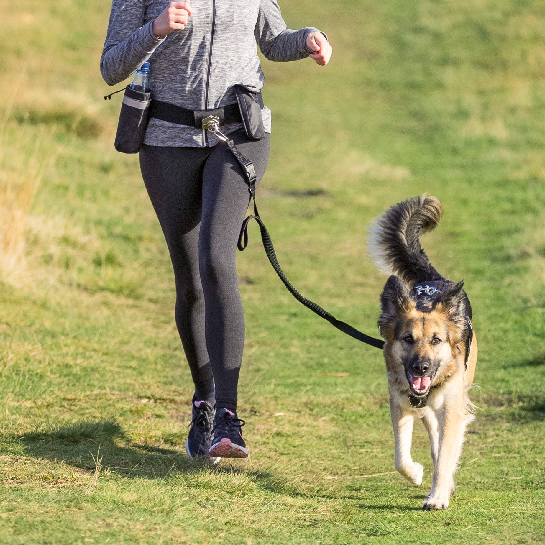 Waist Belt with Lead For Jogging - BROWNS PET RANGE