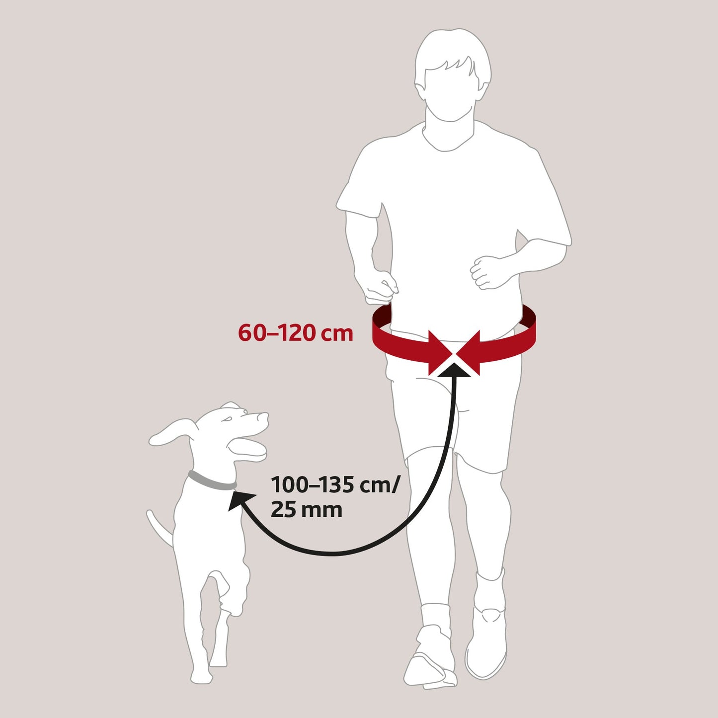 Waist Belt with Lead For Jogging - BROWNS PET RANGE