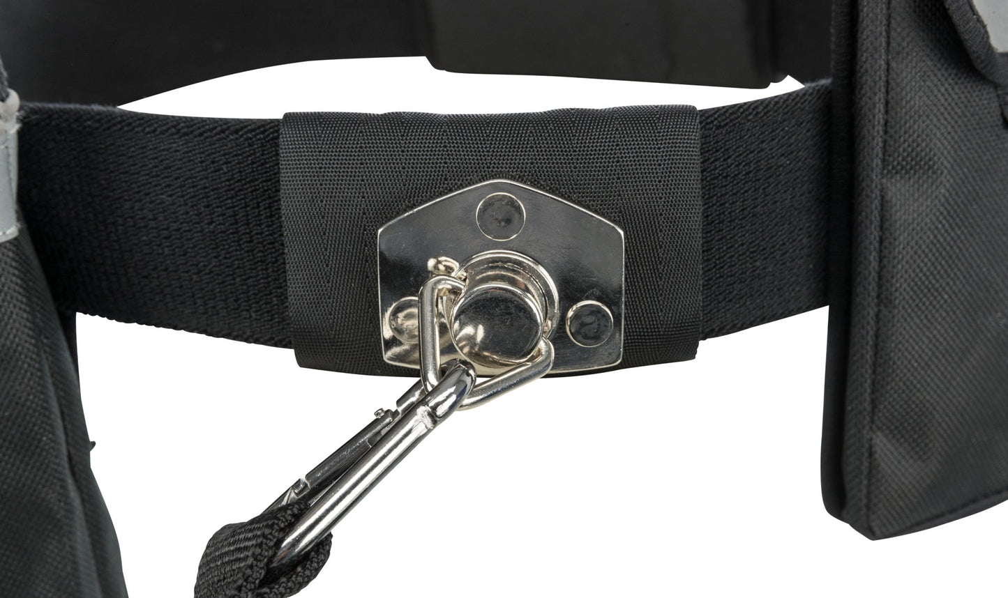 Waist Belt with Lead For Jogging - BROWNS PET RANGE