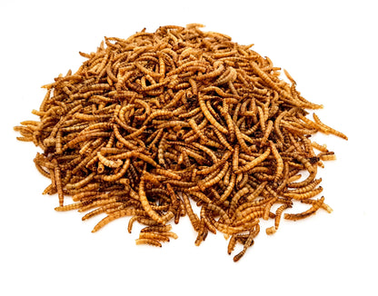 Dried Mealworm | Posh Nosh For Pond Fish - BROWNS PET RANGE